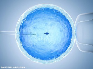 男科主任